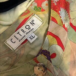 Vintage Citron silk pants and top set in Light Green and Red Asian designs